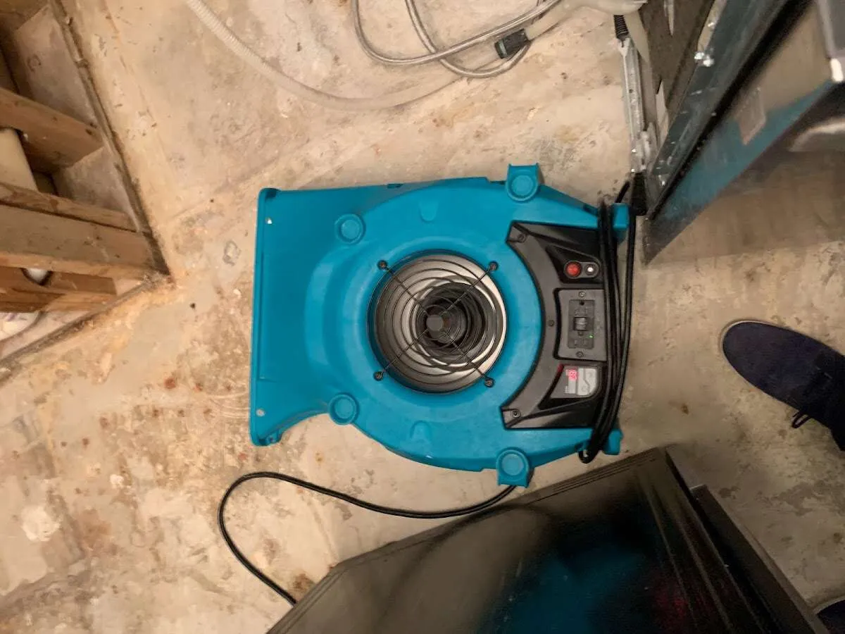 Air mover drying equipment for Mold Remediation & Removal in Eden Isle