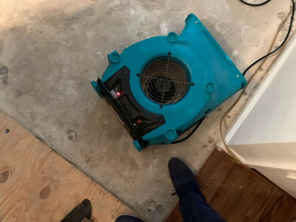 Air mover drying subfloor during Leak Detection & Repair in Eden Isle